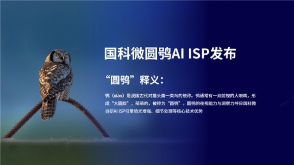 科元网 国科微AI ISP品牌 “圆鸮”震撼发布，推动图像处理技术跨越升级