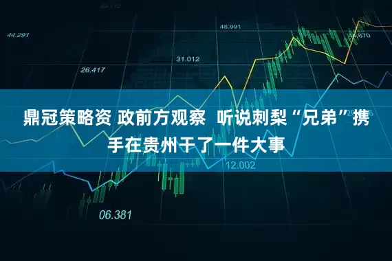 鼎冠策略资 政前方观察  听说刺梨“兄弟”携手在贵州干了一件大事